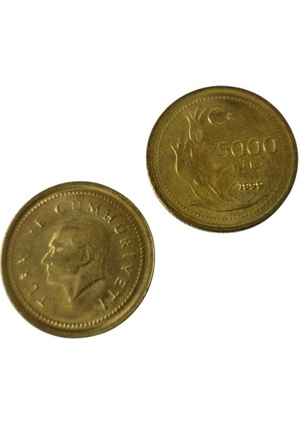 1999 Yılı 5 Bin Lira Ters Düz Takım Çil