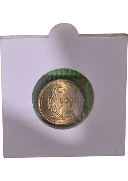 1996 Yılı 5 Bin Lira Çil