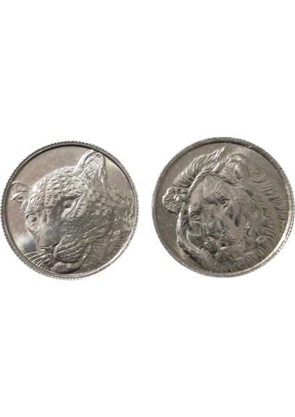 Anadolu Parsı Asya Arslanı Çil