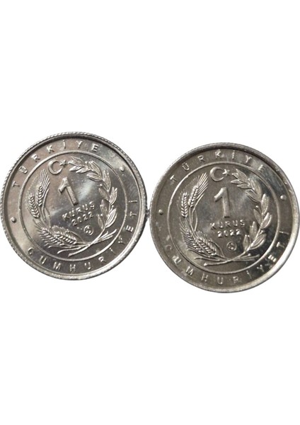 Anadolu Parsı Asya Arslanı Çil fiyatları