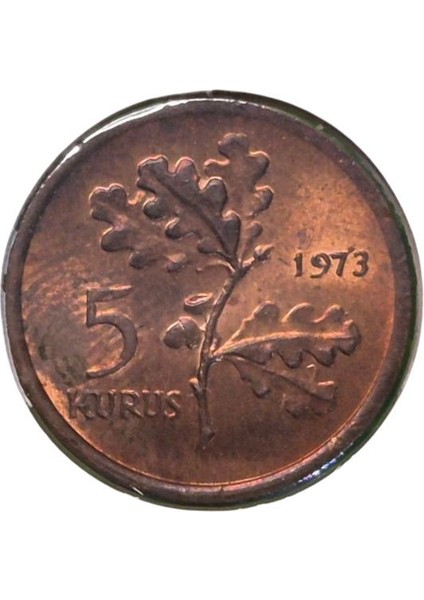 1973 Yılı 5 Kuruş Çil