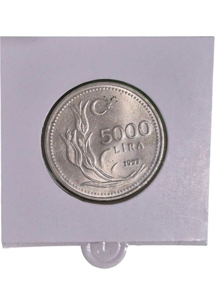 1993 Yılı 5 Bin Lira Çil