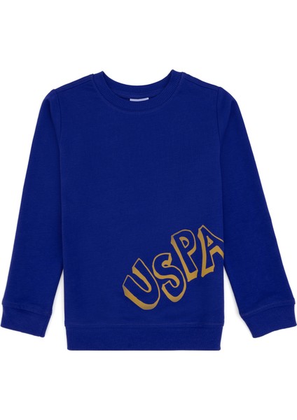 Erkek Çocuk Mor Sweatshirt 50313979-VR038