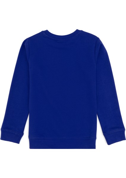 Erkek Çocuk Mor Sweatshirt 50313979-VR038 fiyatları