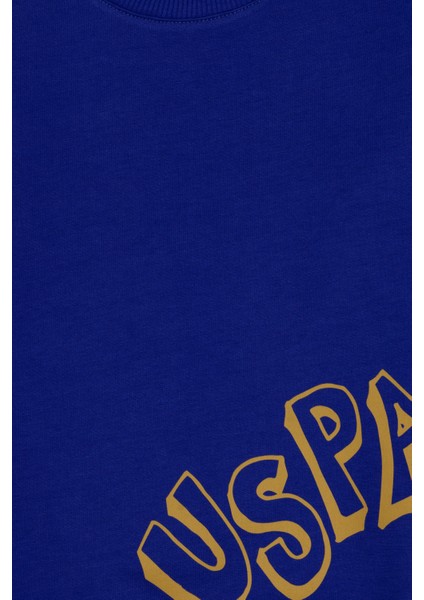 Erkek Çocuk Mor Sweatshirt 50313979-VR038 modelleri