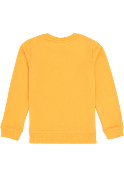 Erkek Çocuk Sweatshirt 50313979-VR244 fiyatları