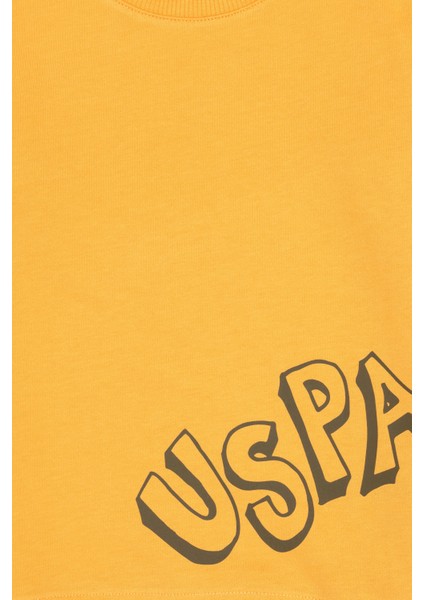 Erkek Çocuk Sweatshirt 50313979-VR244 modelleri