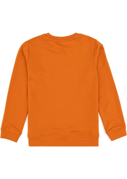 Erkek Çocuk Bakır Sweatshirt 50313979-VR182 fiyatları