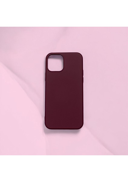 İPHONE 11 Uyumlu Darbe Emici İçi Kadife Lansman Silikon Kılıf