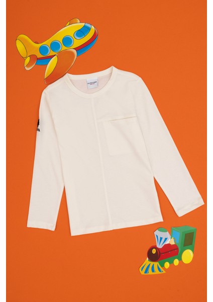 Erkek Çocuk Sweatshirt 50314028-VR256