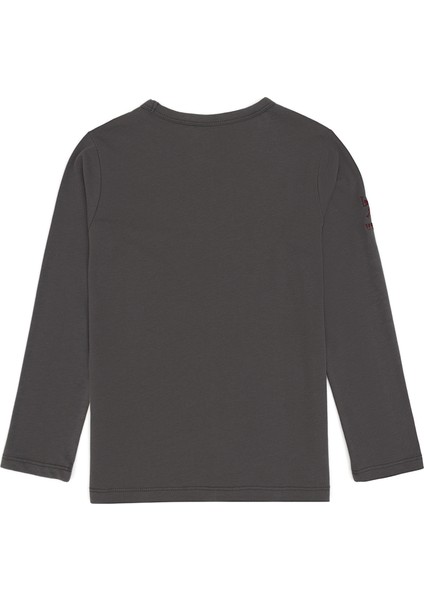 Erkek Çocuk Gri Sweatshirt 50314028-VR024 fiyatları