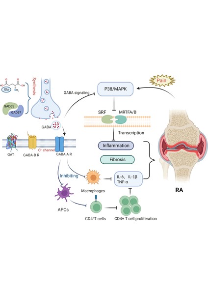 Gaba 750 Mg Neurotransmitter Strong Brain Health Vitamin Gamma-Aminobutyric Aci.d