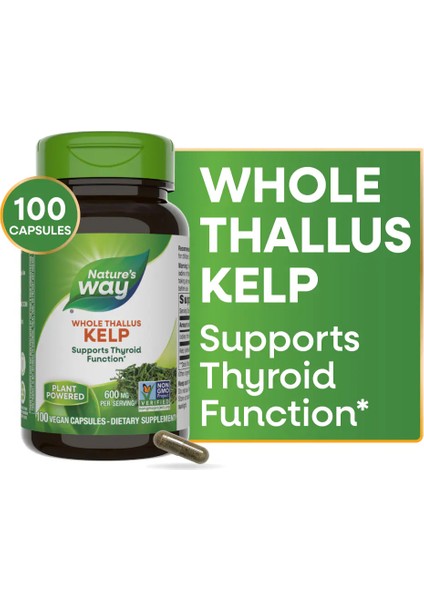 Kelp Whole 100 Capsules Thallus 100 Laminariales Sodium Iodine Thyroid Sodyum Mineral Iyot