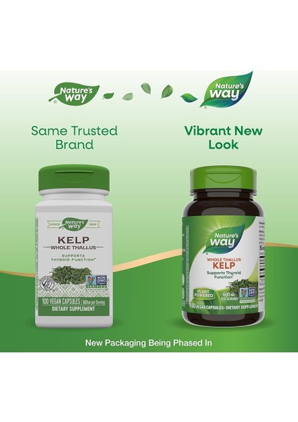 Kelp Whole 100 Capsules Thallus 100 Laminariales Sodium Iodine Thyroid Sodyum Mineral Iyot fiyatları