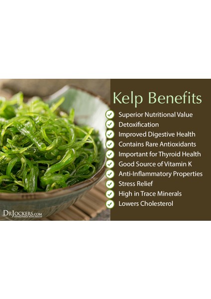 Kelp Whole 100 Capsules Thallus 100 Laminariales Sodium Iodine Thyroid Sodyum Mineral Iyot indirimleri