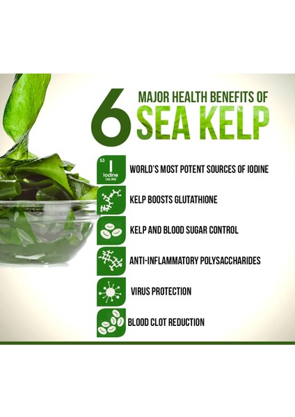 Kelp Whole 100 Capsules Thallus 100 Laminariales Sodium Iodine Thyroid Sodyum Mineral Iyot