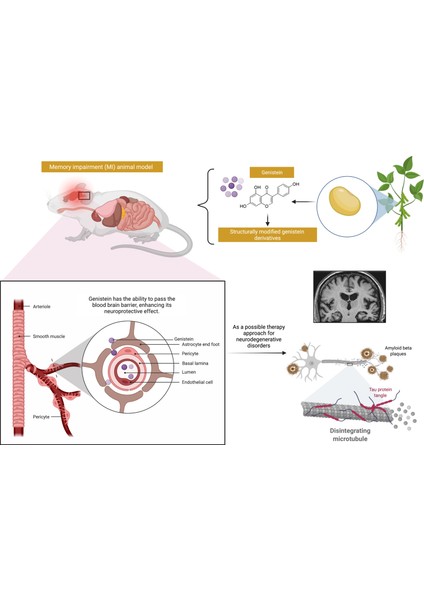 Genistein Soy Complex Organik 1,000 mg Soya Kompleksi Supplement Fiber Ultra Premium Hammadde fırsatları