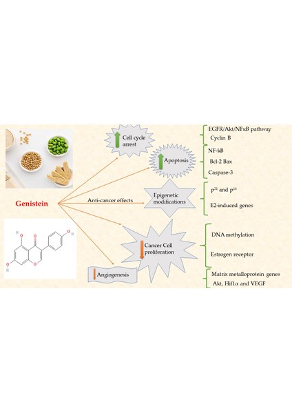 Genistein Soy Complex Organik 1,000 mg Soya Kompleksi Supplement Fiber Ultra Premium Hammadde