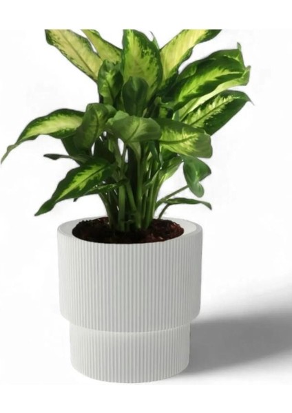 So-Vgs3 Dekoratif Vega Saksı Takımı 30 Lt Kirli Beyaz 3 Adet modelleri