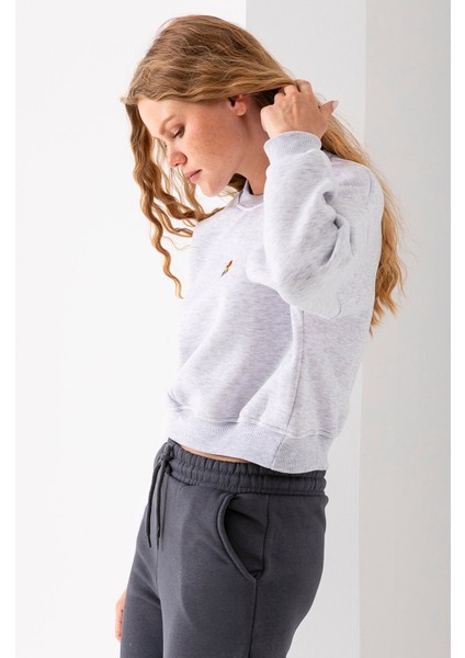 Kadın Bisiklet Yaka Gözlüklü Ayı Nakışlı 3ip Crop Sweatshirt Gri - 2671 fiyatları