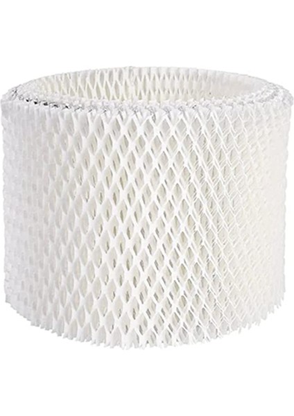 2 Paket Wf2 Nemlendirici Filtreleri Yedek (Yurt Dışından) fiyatları