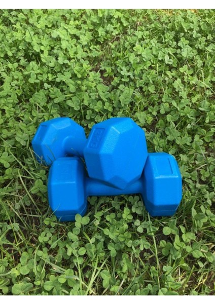 2 kg Köseli Vinyl Dambıl Seti, 4 kg Toplam Ağırlık, Dayanıklı ve Şık Tasarım modelleri