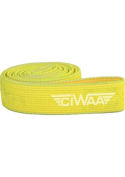Sarı Likra Güç Bandı, 5 kg Direnç Lastiği, Dayanıklı ve Çok Yönlü Antrenman Ekipmanı