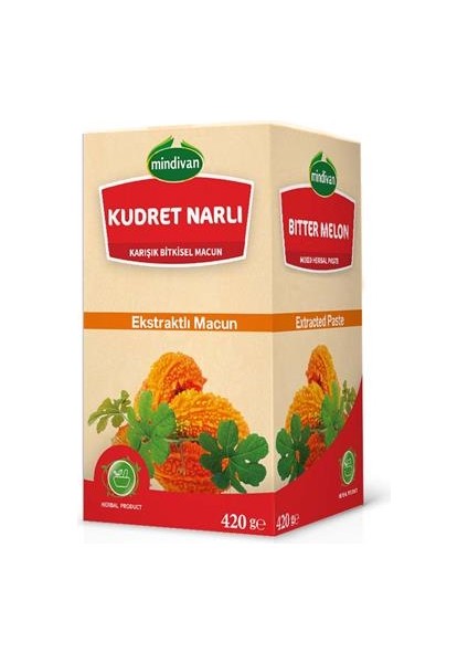 Kudret Narlı Damla Sakızlı Macun 450 gr fırsatları