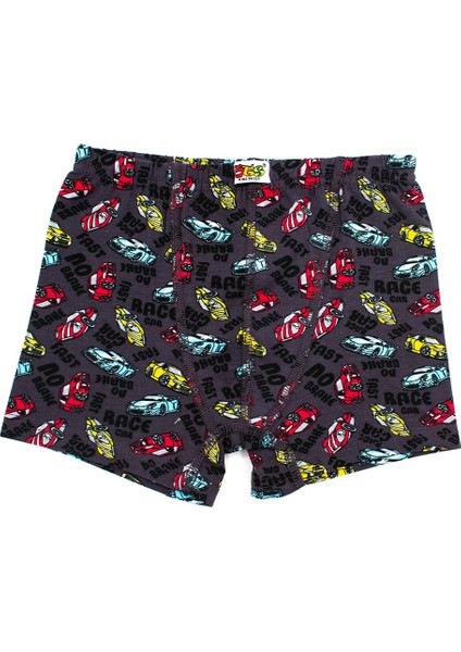 Erkek Çocuk Boxer 3'lü Baskılı (%96 Pamuk - %4 Elastan) fiyatları