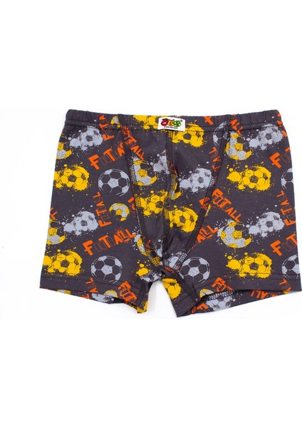 Erkek Çocuk Boxer 3'lü Baskılı (%96 Pamuk - %4 Elastan) fiyatları