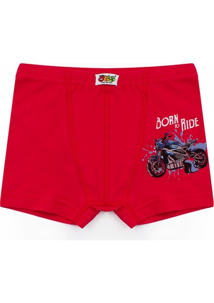 Erkek Çocuk Boxer 3'lü Baskılı (%96 Pamuk - %4 Elastan) fiyatları