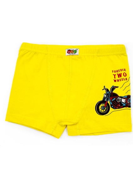 Erkek Çocuk Boxer 3'lü Baskılı (%96 Pamuk - %4 Elastan) modelleri