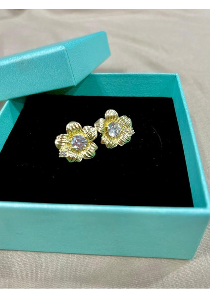 Kadın Işıltılı Taşlı Yapraklı Yonca Küpe Paslanmaz