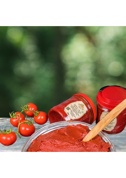 Hatay Yöresel Domates Salçası Ev Yapımı 2 kg modelleri