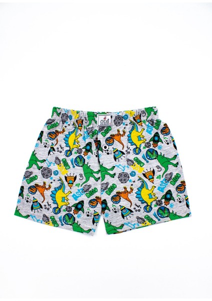 Erkek Çocuk Boxer 3'lü Baskılı (%100 Pamuk) fırsatları