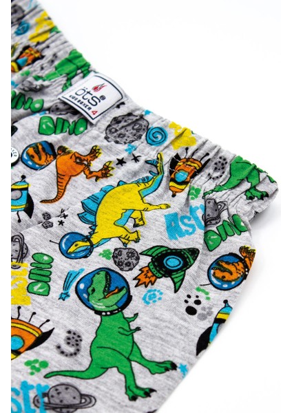 Erkek Çocuk Boxer 3'lü Baskılı (%100 Pamuk) indirimleri