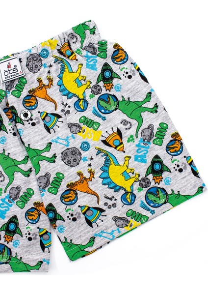 Erkek Çocuk Boxer 3'lü Baskılı (%100 Pamuk)