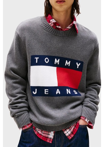 % 100 Pamuk Regular Fit Bisiklet Yaka Logolu Kazak Erkek Kazak DM0DM22105 Pu2