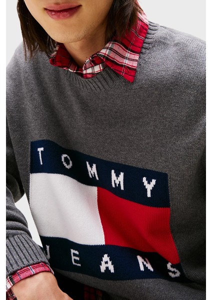 % 100 Pamuk Regular Fit Bisiklet Yaka Logolu Kazak Erkek Kazak DM0DM22105 Pu2 fırsatları