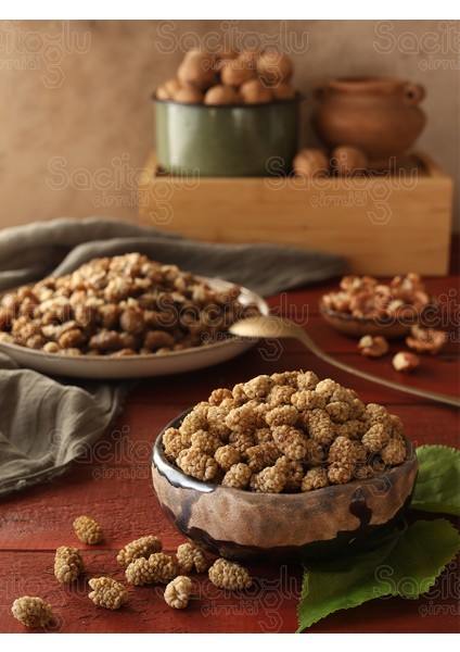 Dut Kurusu modelleri