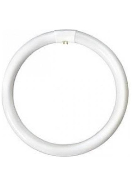 32 W Simit Ampul Fluotone Tle 32W/54 Beyaz Işık Philips Eski Tip T9 Kalın fiyatları
