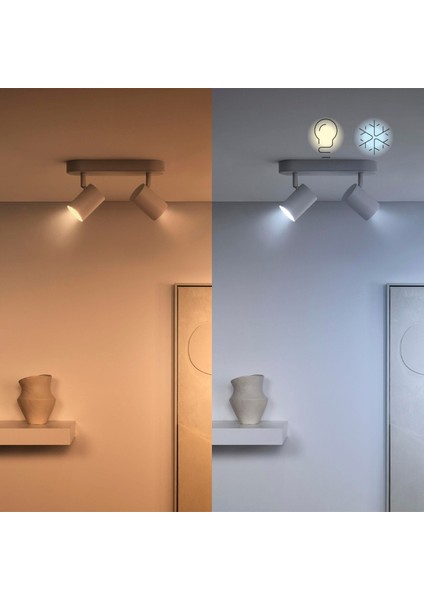 Rgb Spot Ampul 50W GU10 Cam (2'li Paket)