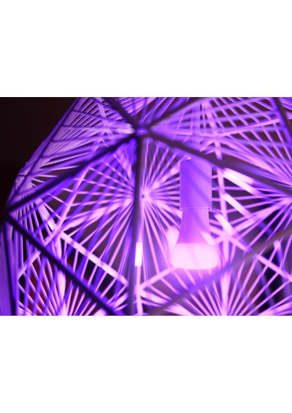 Huewca 9W E27 Renkli Akıllı Ampul 3'lü Başlangıç Seti