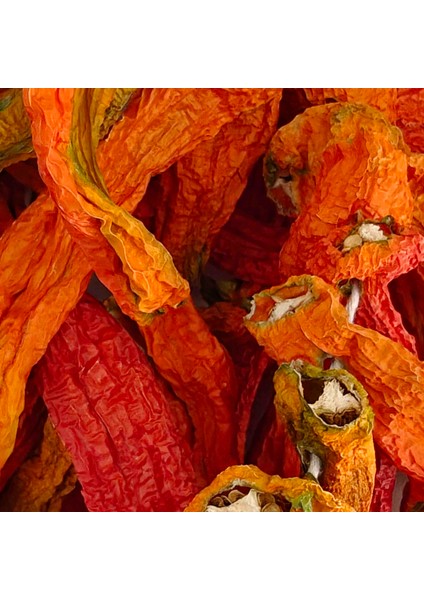 Sivri Biber Kurusu Ankara 1 Dizi Yeni Mahsul fiyatları