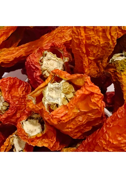 Sivri Biber Kurusu Ankara 1 Dizi Yeni Mahsul modelleri