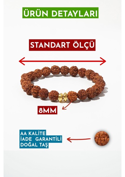 Rudraksha Doğal Taş Bileklik (Zihinsel Dengenin Anahtarı) Aa Kalite fiyatları