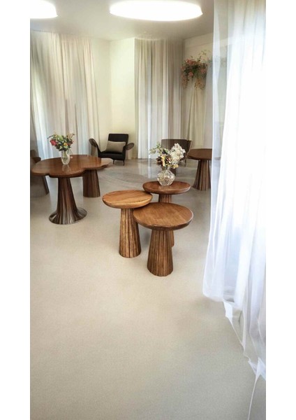 Dekoratif Ahşap Mantar Sehpa 3’lü Set – Masif Doğal Açık Ceviz Fiskos ve Zigon