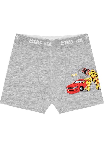 Erkek Çocuk Boxer 3'lü (%96 Pamuk - %4 Elastan) fiyatları