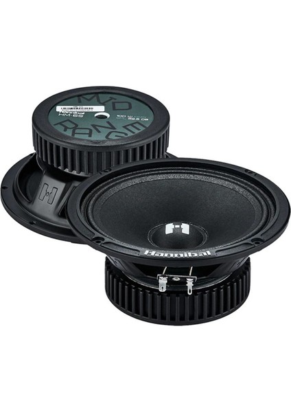 16 cm 200W Rms Midrange Hoparlör, Yüksek Ses Kalitesi