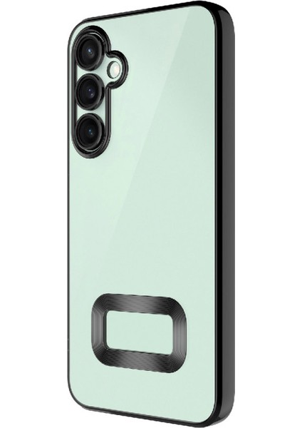 Galaxy S24 Fe Şık Tasarımlı ve Parlak Omega Premium Silikon Kılıf